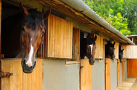free Windrush stable construction quotes